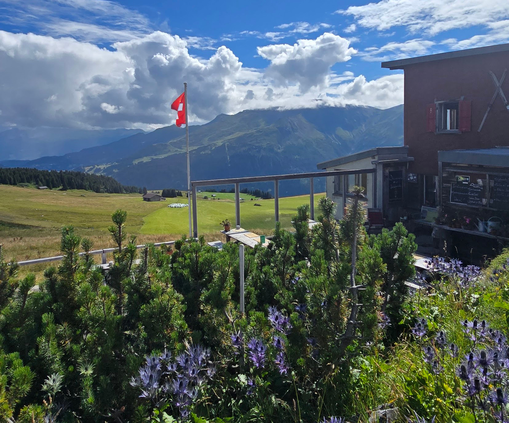 Vue estivale du Bergrestaurant Jochalp et des montagnes